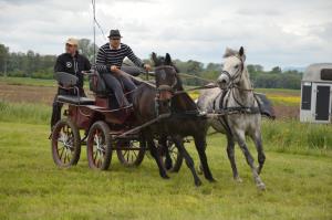 3. Srečanje kočij in konjenikov na Grabah 5